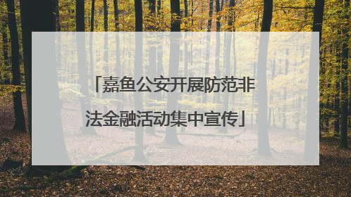 嘉鱼公安开展防范非法金融活动集中宣传