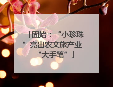 固始：“小珍珠”亮出农文旅产业“大手笔”