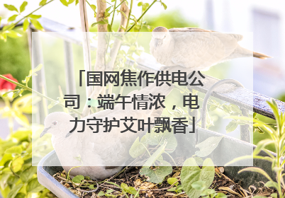 国网焦作供电公司：端午情浓，电力守护艾叶飘香