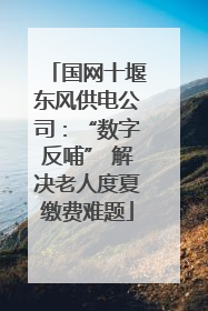 国网十堰东风供电公司：“数字反哺” 解决老人度夏缴费难题