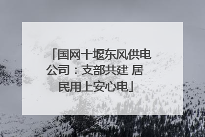 国网十堰东风供电公司：支部共建 居民用上安心电