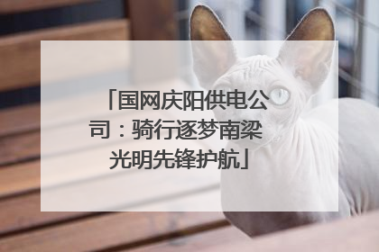国网庆阳供电公司：骑行逐梦南梁 光明先锋护航