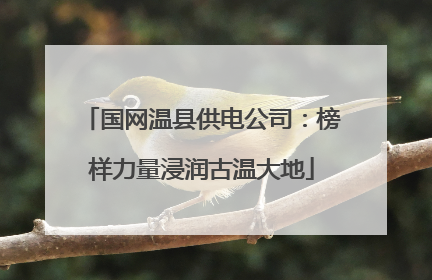 国网温县供电公司：榜样力量浸润古温大地
