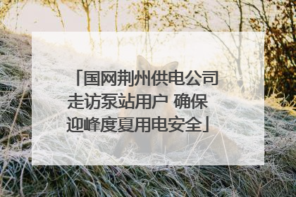 国网荆州供电公司走访泵站用户 确保迎峰度夏用电安全