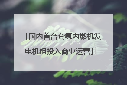 国内首台套氢内燃机发电机组投入商业运营