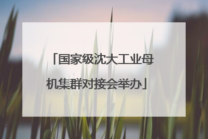 国家级沈大工业母机集群对接会举办