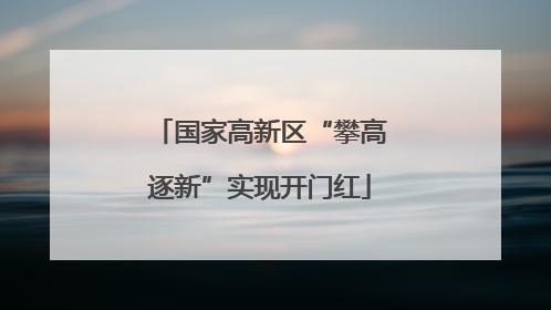 国家高新区“攀高逐新”实现开门红