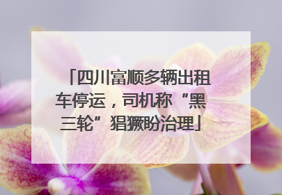 四川富顺多辆出租车停运，司机称“黑三轮”猖獗盼治理