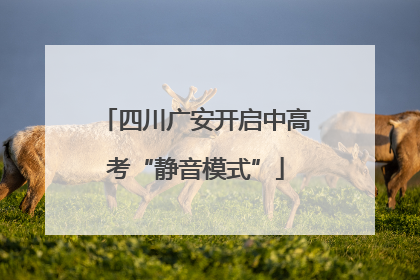 四川广安开启中高考“静音模式”