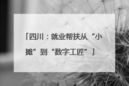 四川：就业帮扶从“小摊”到“数字工匠”