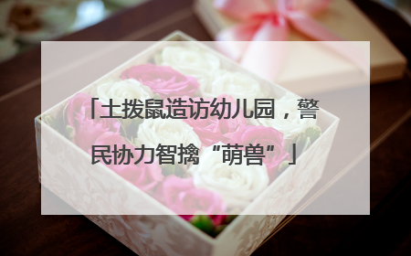 土拨鼠造访幼儿园，警民协力智擒“萌兽”