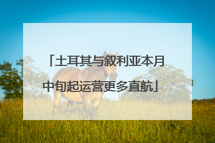 土耳其与叙利亚本月中旬起运营更多直航