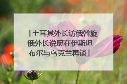 土耳其外长访俄斡旋 俄外长说愿在伊斯坦布尔与乌克兰再谈