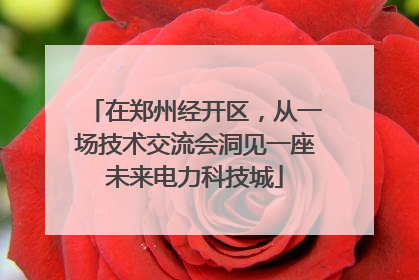 在郑州经开区，从一场技术交流会洞见一座未来电力科技城