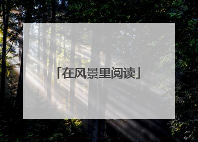 在风景里阅读