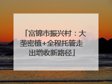 富锦市振兴村：大垄密植+全程托管走出增收新路径