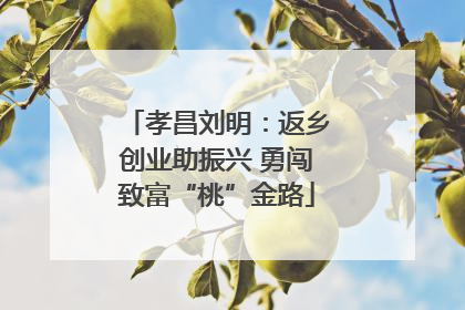 孝昌刘明：返乡创业助振兴 勇闯致富“桃”金路