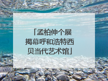 孟柏伸个展 揭幕呼和浩特西贝当代艺术馆