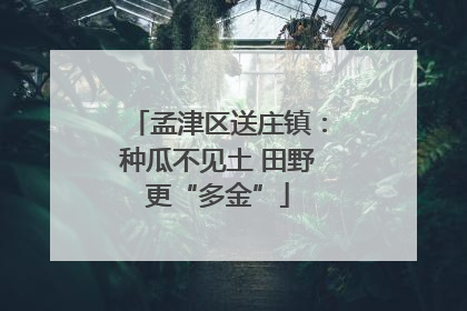 孟津区送庄镇：种瓜不见土 田野更“多金”