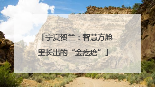 宁夏贺兰：智慧方舱里长出的“金疙瘩”