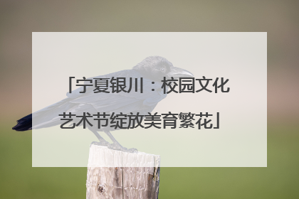 宁夏银川：校园文化艺术节绽放美育繁花