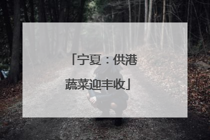宁夏：供港蔬菜迎丰收