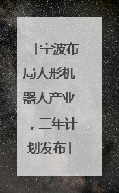 宁波布局人形机器人产业，三年计划发布