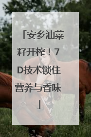 安乡油菜籽开榨！7D技术锁住营养与香味