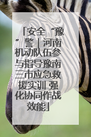安全“豫”警｜河南机动队伍参与指导豫南三市应急救援实训 强化协同作战效能