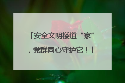 安全文明楼道“家”，党群同心守护它！