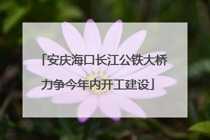 安庆海口长江公铁大桥力争今年内开工建设