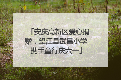 安庆高新区爱心捐赠，望江县武昌小学携手童行庆六一