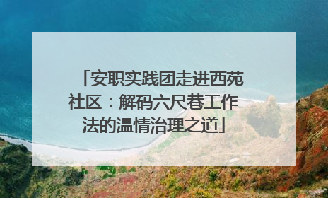 安职实践团走进西苑社区：解码六尺巷工作法的温情治理之道