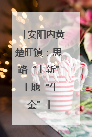 安阳内黄楚旺镇：思路“上新” 土地“生金”