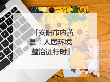 安阳市内黄县：人居环境整治进行时