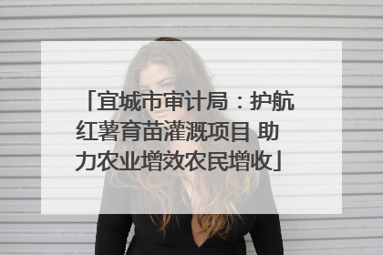 宜城市审计局：护航红薯育苗灌溉项目 助力农业增效农民增收