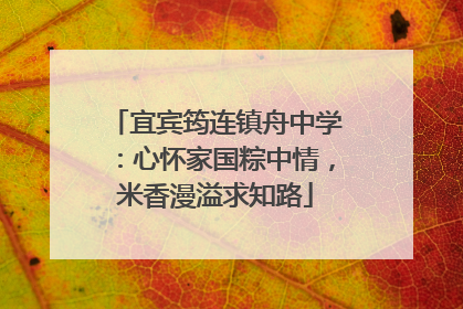 宜宾筠连镇舟中学：心怀家国粽中情，米香漫溢求知路