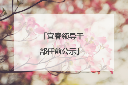 宜春领导干部任前公示