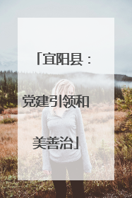 宜阳县：党建引领和美善治