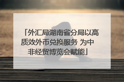 外汇局湖南省分局以高质效外币兑换服务 为中非经贸博览会赋能
