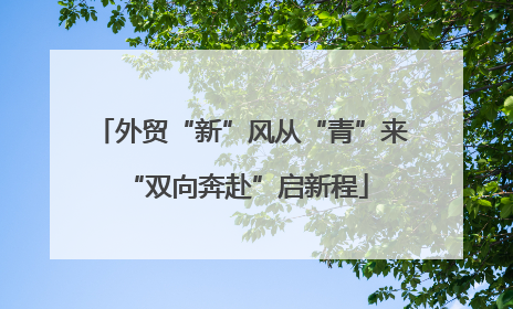 外贸“新”风从“青”来 “双向奔赴”启新程