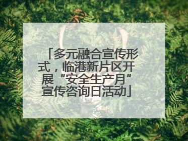 多元融合宣传形式，临港新片区开展“安全生产月”宣传咨询日活动