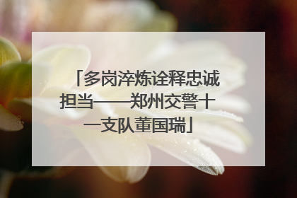 多岗淬炼诠释忠诚担当——郑州交警十一支队董国瑞
