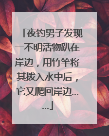 夜钓男子发现一不明活物趴在岸边，用竹竿将其拨入水中后，它又爬回岸边……