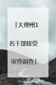 大理州1名干部接受审查调查