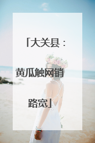 大关县：黄瓜触网销路宽