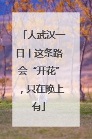 大武汉一日丨这条路会“开花”，只在晚上有