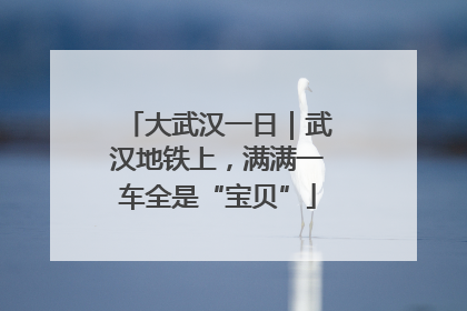 大武汉一日｜武汉地铁上，满满一车全是“宝贝”