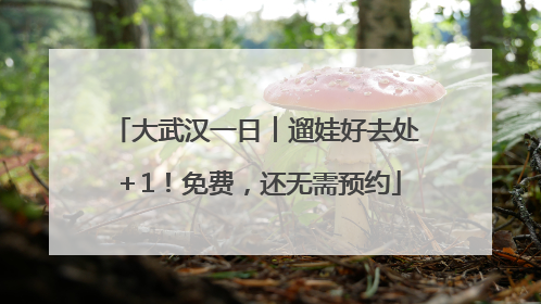 大武汉一日︱遛娃好去处＋1！免费，还无需预约