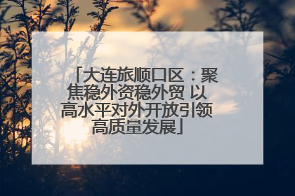 大连旅顺口区：聚焦稳外资稳外贸 以高水平对外开放引领高质量发展